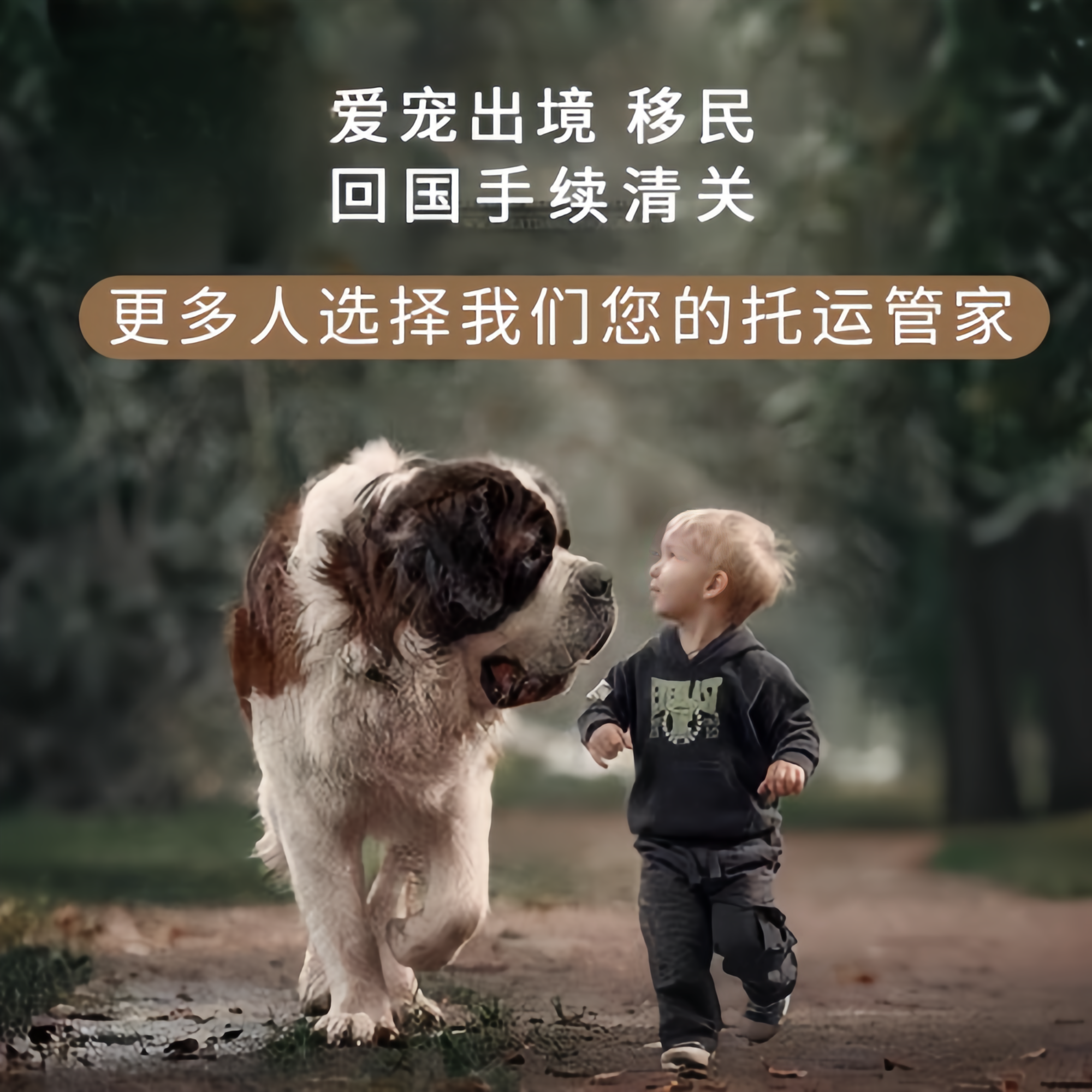 满财咸宁市宠物全球达宠物托运在遵守入境目的地政策的条件